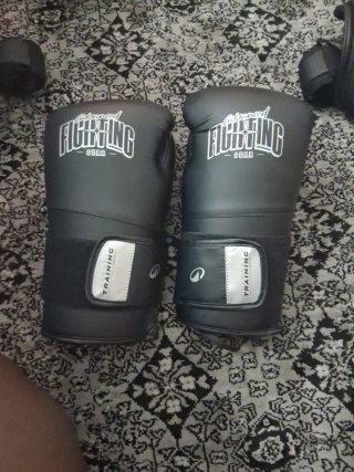 Protector Tibia y Guantes Boxeo