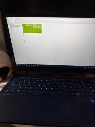 HP Victus 16