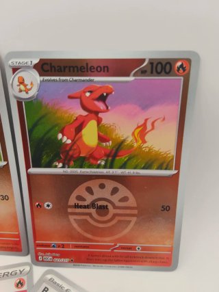 Pack Charmander Charmeleon Pokeball Holo + Energia