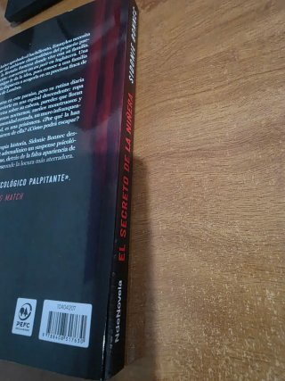 El secreto de la niñera