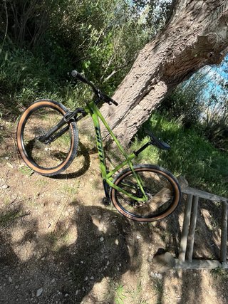 Bicicleta Giant Verde