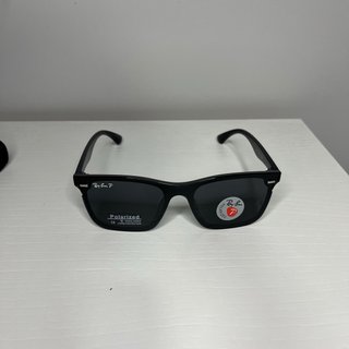 Gafas de sol Ray-Ban Steve RB4387 P Negro