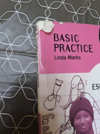 ESO 4 - NEW ENGLISH IN USE BASIC PRACTICE (SPAN...