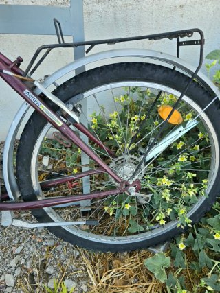 Bicicleta de montaña morada