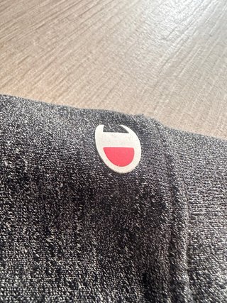 Sudadera Champion Gris