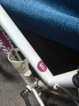 Bicicleta Montaña Rockrider Mujer