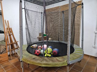 Cama elástica con red de seguridad