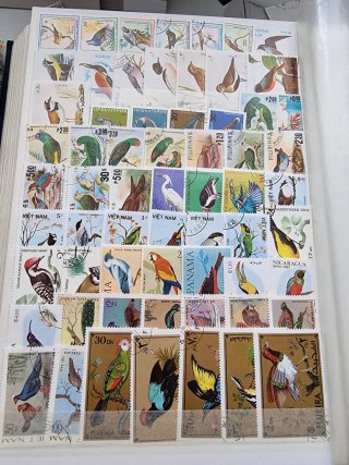 Colección de sellos de aves
