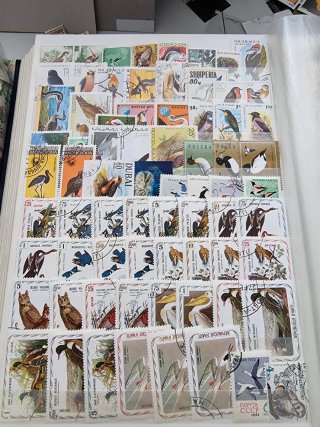 Colección de sellos de aves