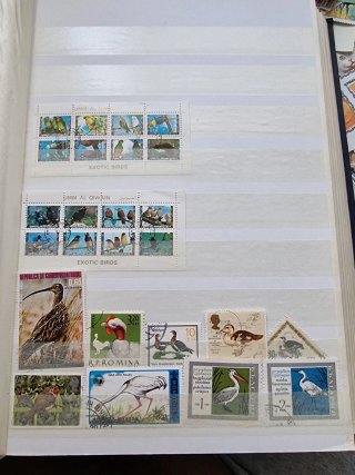 Colección de sellos de aves