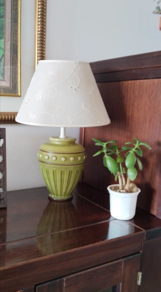 Árbol de Jade Crassula 3 Tallos en maceta blanca