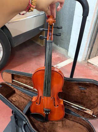 Viola con arco y estuche