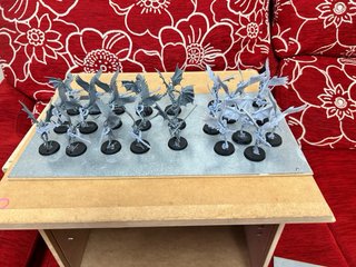 Drukhari 40k Figuras