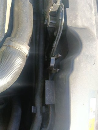 RADIADOR AGUA FORD FOCUS SPORTBREAK (CB4) G8DB 3M