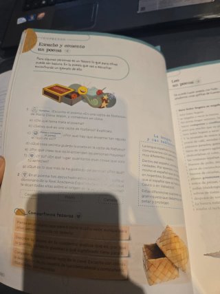 Lengua 5 Primaria