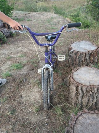 Bicicleta Monty 105 Indiana (Antigua)