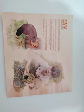 Libro infantil