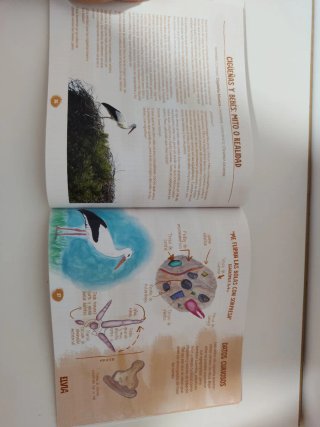 Libro infantil