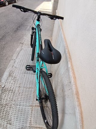 Bicicleta Montaña WST POISON