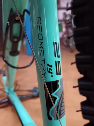 Bicicleta Montaña WST POISON