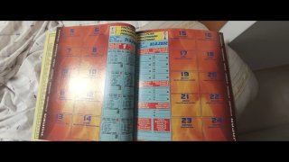 Álbum plancha Mundial Corea Japón 2002 Panini