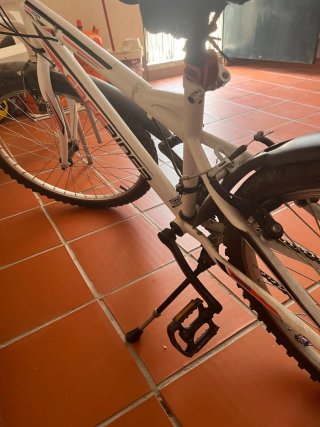 Bicicleta Freerider 24