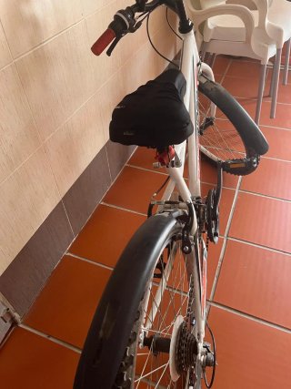 Bicicleta Freerider 24
