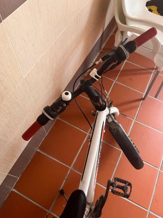 Bicicleta Freerider 24