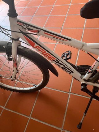 Bicicleta Freerider 24