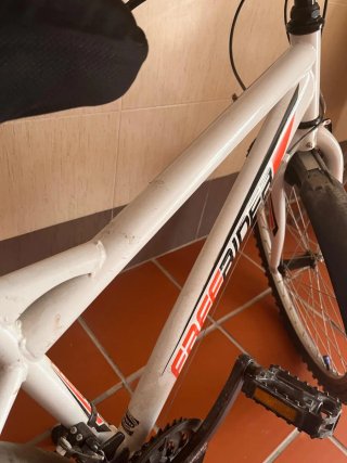 Bicicleta Freerider 24