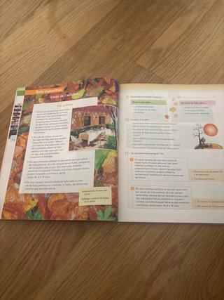 Ona, 3 Educació Primària, Illes Balears compren...