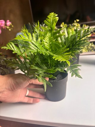 Plantas Artificiales Variadas Ikea (8unid.)
