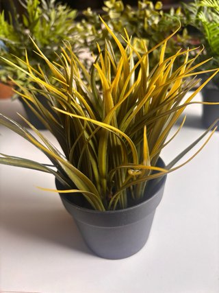 Plantas Artificiales Variadas Ikea (8unid.)