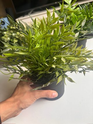 Plantas Artificiales Variadas Ikea (8unid.)