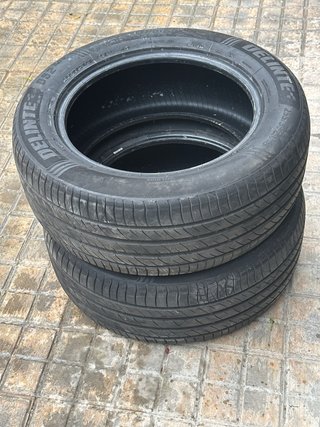 Neumáticos Delinte DS2  255/55R18