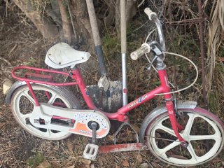 Bicicleta infantil BH Happy