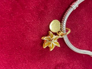 Charm Flor Disney Rapunzel