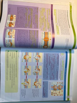 BIOLOGIA 1 BTX CONSTRUINT MONS
