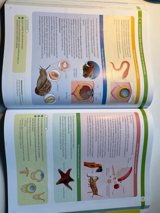 BIOLOGIA 1 BTX CONSTRUINT MONS