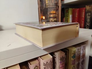 Libro mujeres