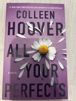 All Your Perfects A Novel