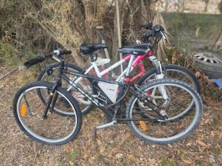 Bicicleta de Montaña
