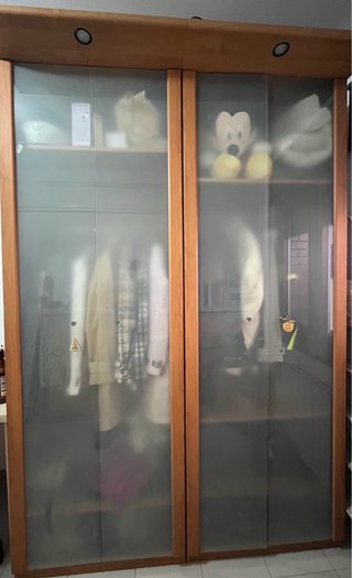 Armario de madera y cristal