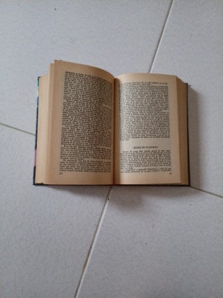 Libro La montaña mágica. Por Thomas Mann