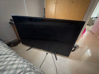 Televisor NPS 55 - No funciona