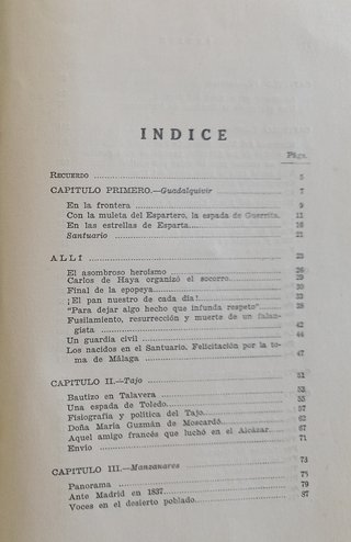 Horas y figuras de la guerra de España.