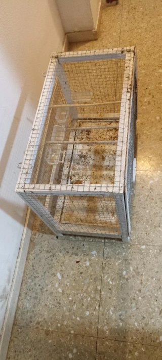 Jaula para pájaros blanca