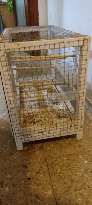 Jaula para pájaros blanca