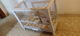 Jaula para pájaros blanca
