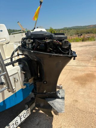 Fueraborda Mercury 25